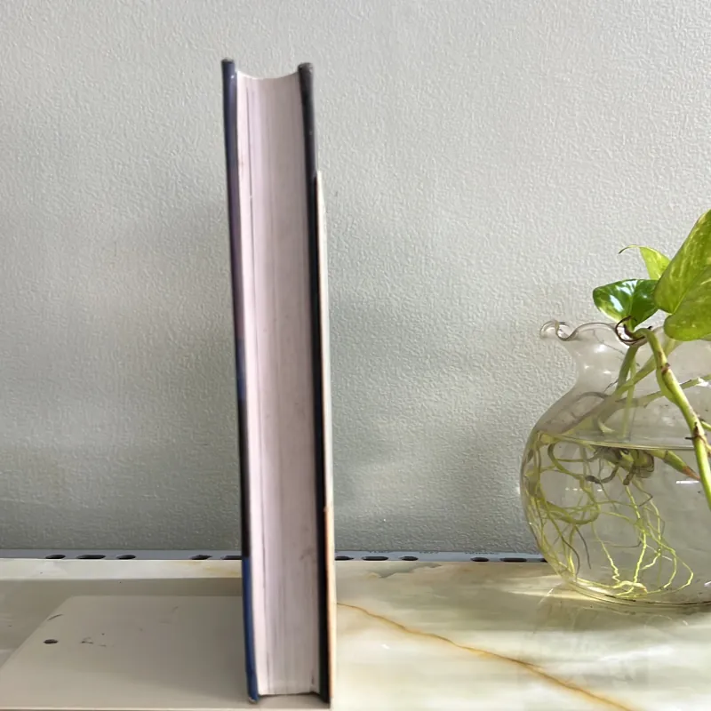 Ngọn gió từ vũng nồm 751808