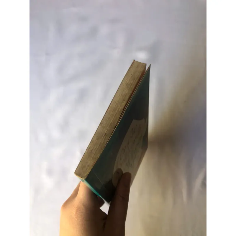 Hủy Hoại Vì Yêu - Amélie Nothomb 799240