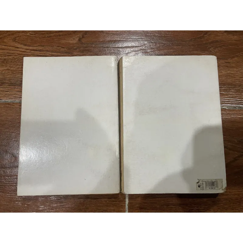 Phong Thần Diễn Nghĩa bộ 2 tập - Mộng Bình Sơn  721179