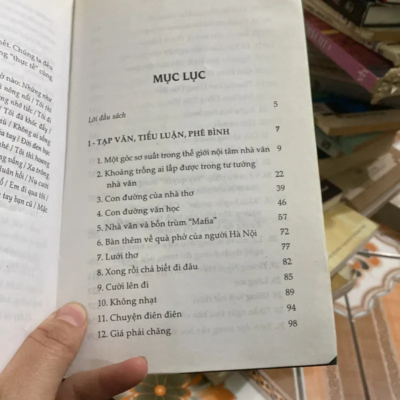 Giăng lưới bắt chim 784518