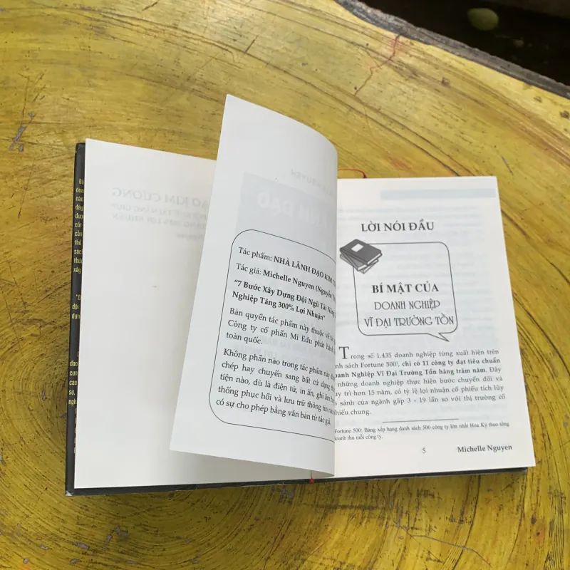 NHÀ LÃNH ĐẠO KIM CƯƠNG 747215