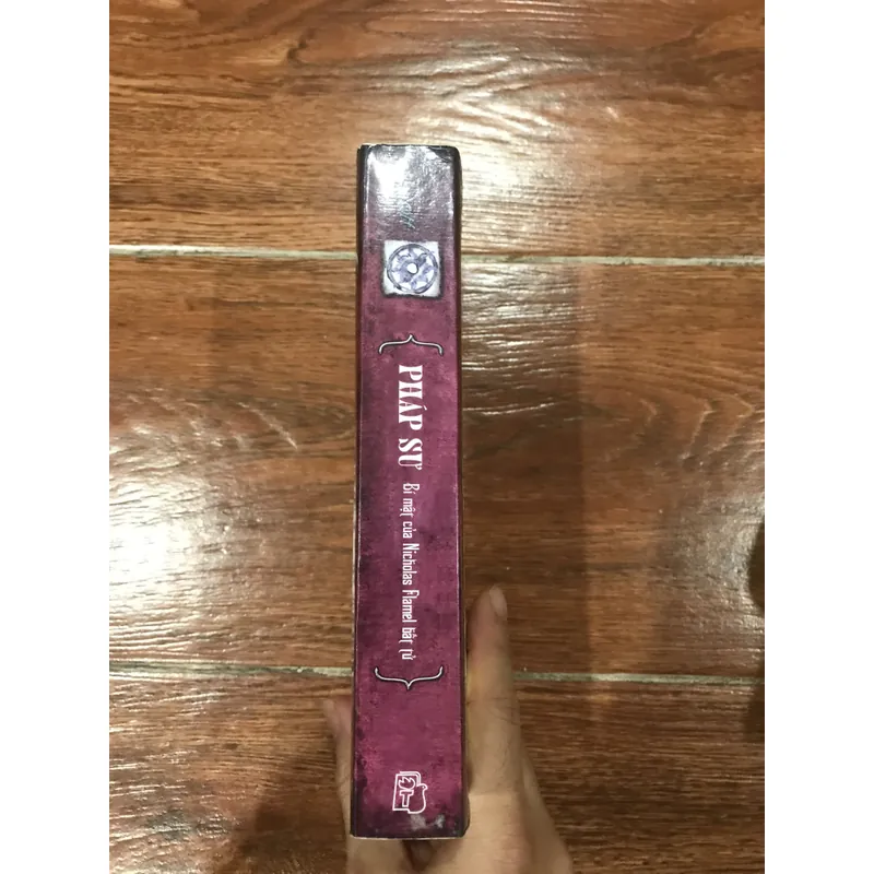 Pháp Sư - Bí mật của Nicholas Flamel bất tử - Michael Scott (8) 721204