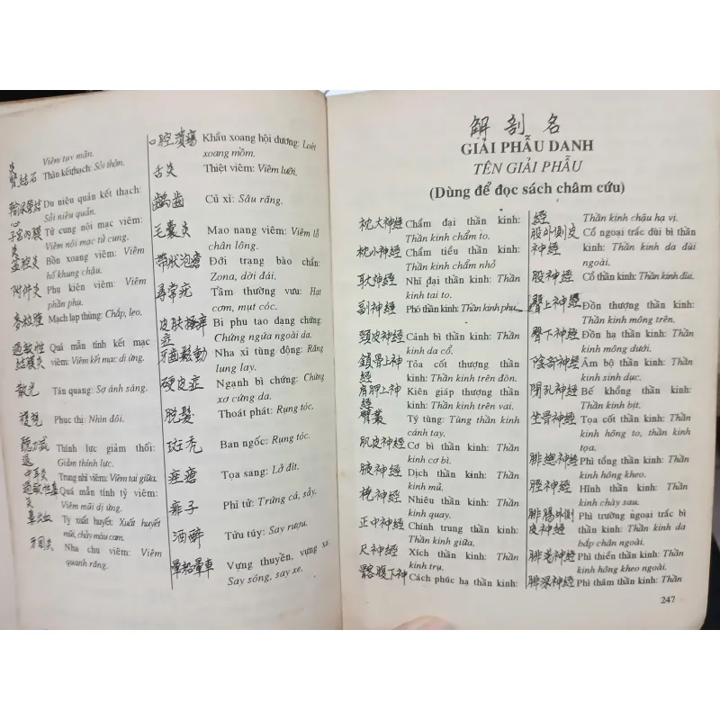 HƯỚNG DẪN VIẾT, ĐỌC VÀ DỊCH HÁN NÔM TRONG Y HỌC ĐÔNG PHƯƠNG - Lê Quý Ngưu - Lương Tú Vân 591731