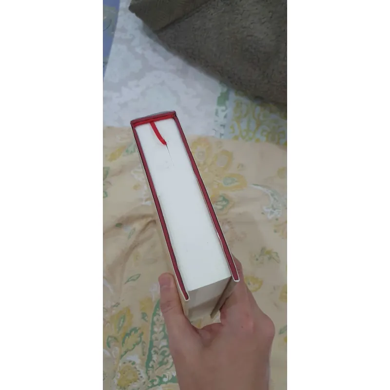 Việt Nam Thế Kỷ XVII (Bìa Cứng), Mới 90% (TrieuL) 976391