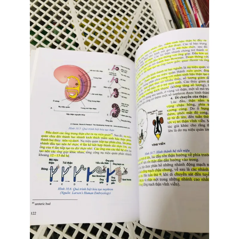 PHÔI THAI HỌC 799117