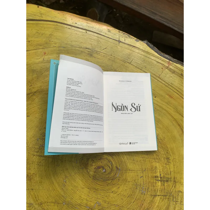 COMBO NGÔN SỨ & LỜI DẠY CỦA RUMI 750342