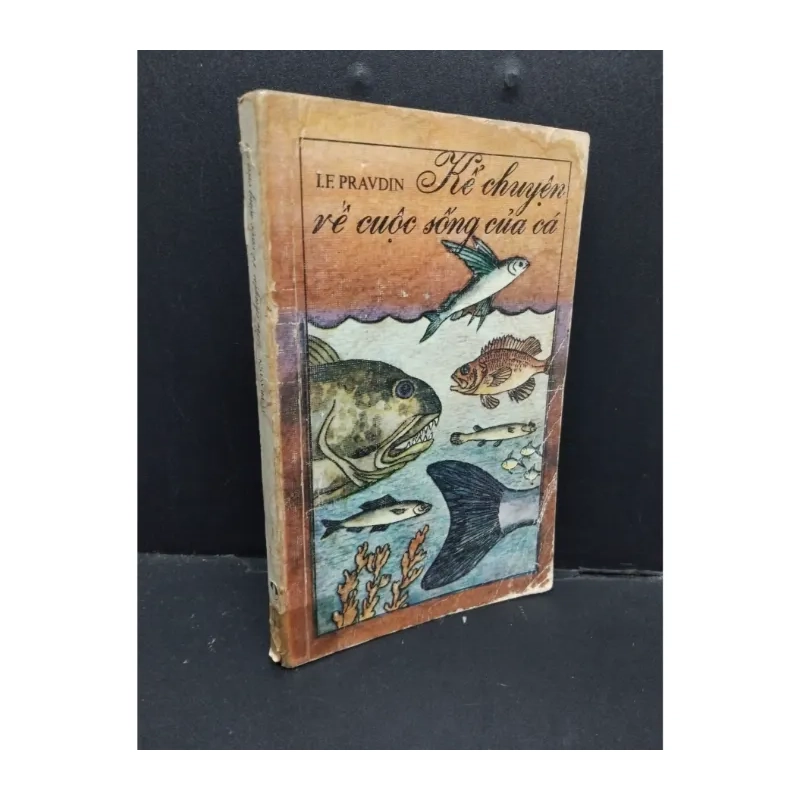 Kể chuyện về cuộc sống của cá 983141