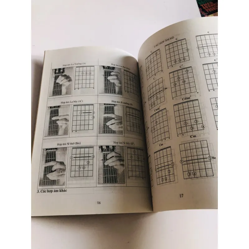 HỌC ĐỆM GHITA QUA NHỮNG BẢN TÌNH CA NỔI TIẾNG  777958