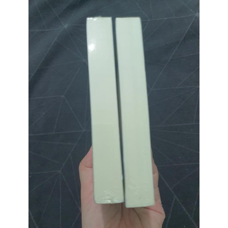 Combo "Dạ lữ nhân" 2 tập (seal đẹp) - Triệu Hi Chi 476775