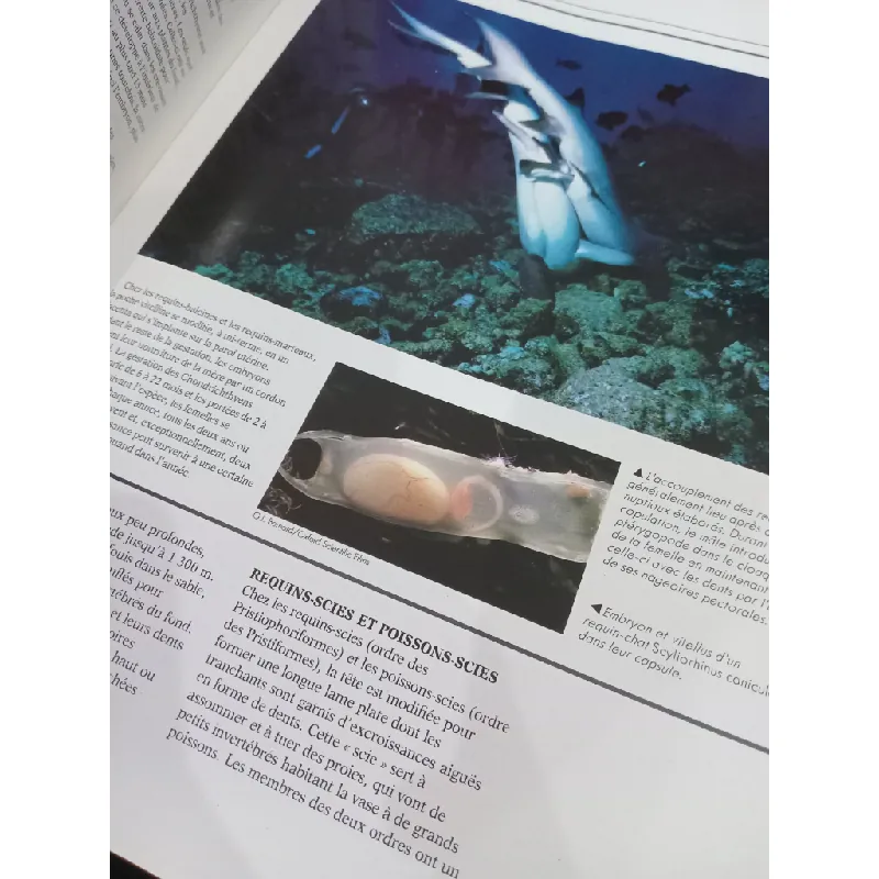 Le grand livre des poissons 559768