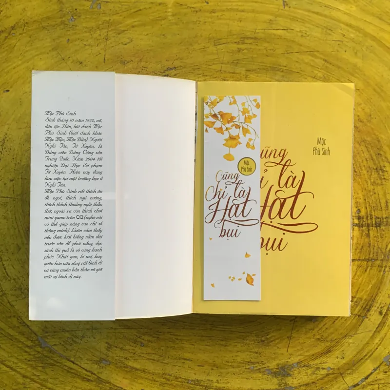 CŨNG CHỈ LÀ HẠT BỤI - MỘC PHÙ SINH  991253