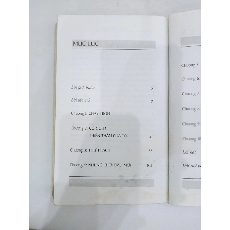 Đứa Trẻ Lạc Loài - Dave Pelzer 544514