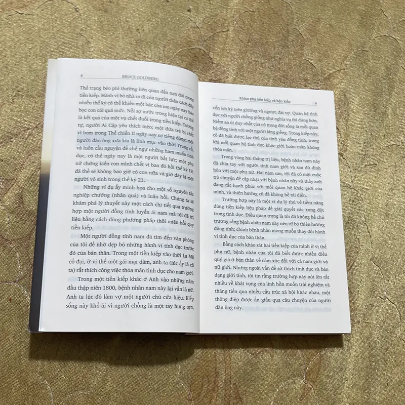 KHÁM PHÁ TIỀN KIẾP VÀ HẬU KIẾP- BRUCE GOLDBERG 688301