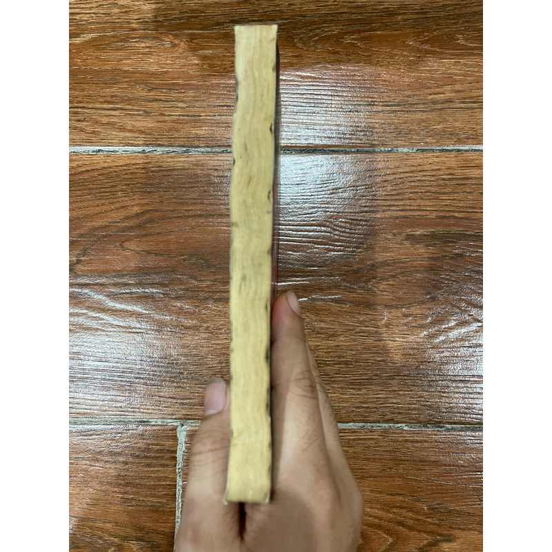 Con đường sáng tạo - Nguyễn Hữu Hiệu (6) 532123