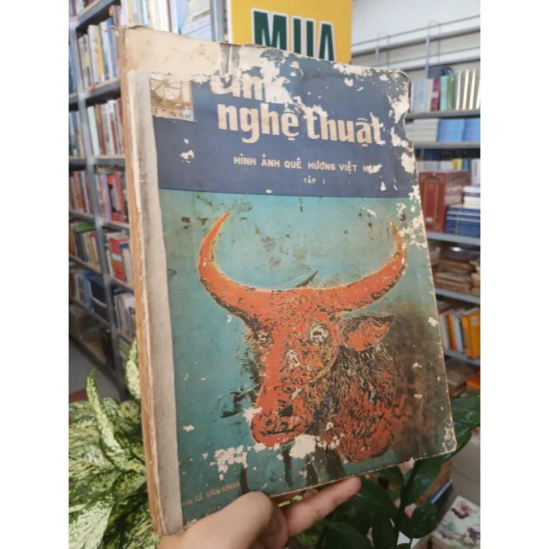ẢNH NGHỆ THUẬT HÌNH ẢNH QUÊ HƯƠNG VIỆT NAM - LÊ VĂN KHOA 996873