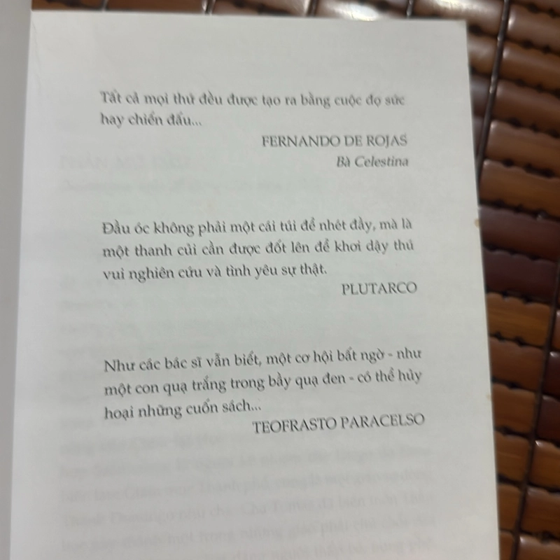 Bản thảo bằng đá - Luis Garcia Jambrina 529559