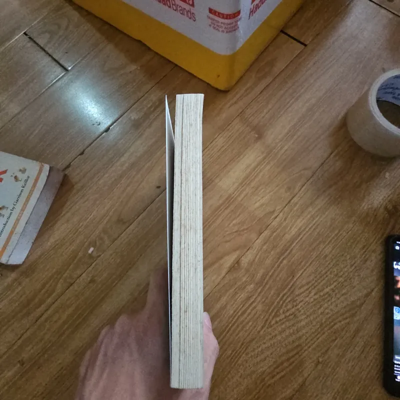 How to train your dragon How to speak dragonese book 3 Giá 20k  602485