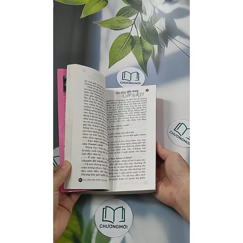 Hoa hồng dấu trong cặp sách - Tôn Văn Hiểu 688652