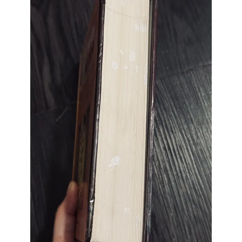 Từ điển Mỹ thuật hội hoạ thế giới 603063