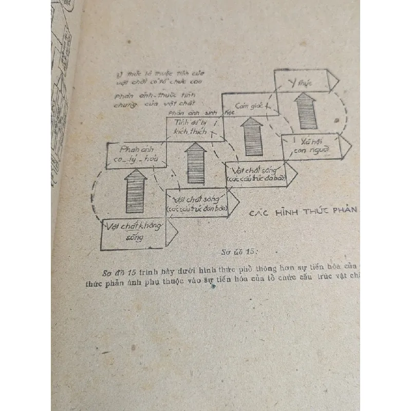 Các phương tiện trực quan trong giảng dạy triết học 727096