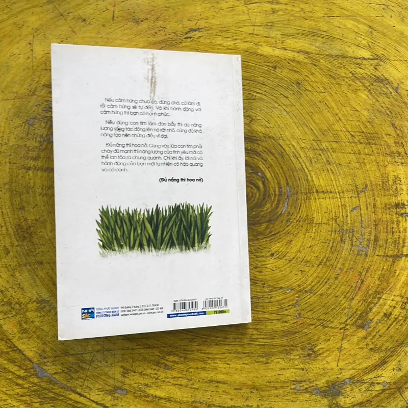 ĐỦ NẮNG THÌ HOA NỞ - ba gàn 974735