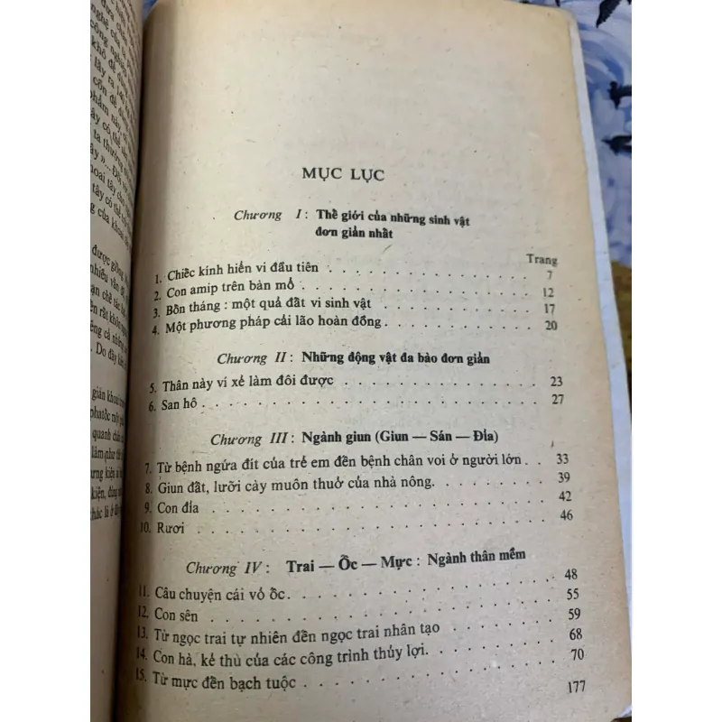 Những Kỳ Lạ Trong Thế Giới Sinh Vật 926223