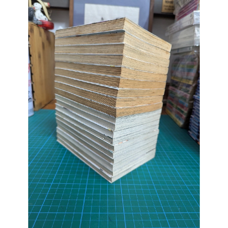 TRUYỆN TRANH RINNE CẢNH GIỚI LUÂN HỒI 386705