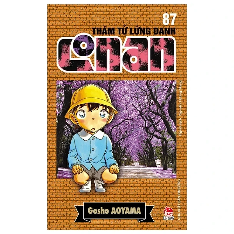 Thám Tử Lừng Danh Conan - Tập 87 - Gosho Aoyama (Mới 100%) Truyện tranh, NXB Kim Đồng - SÁCH ĐẠI HỌC 486972