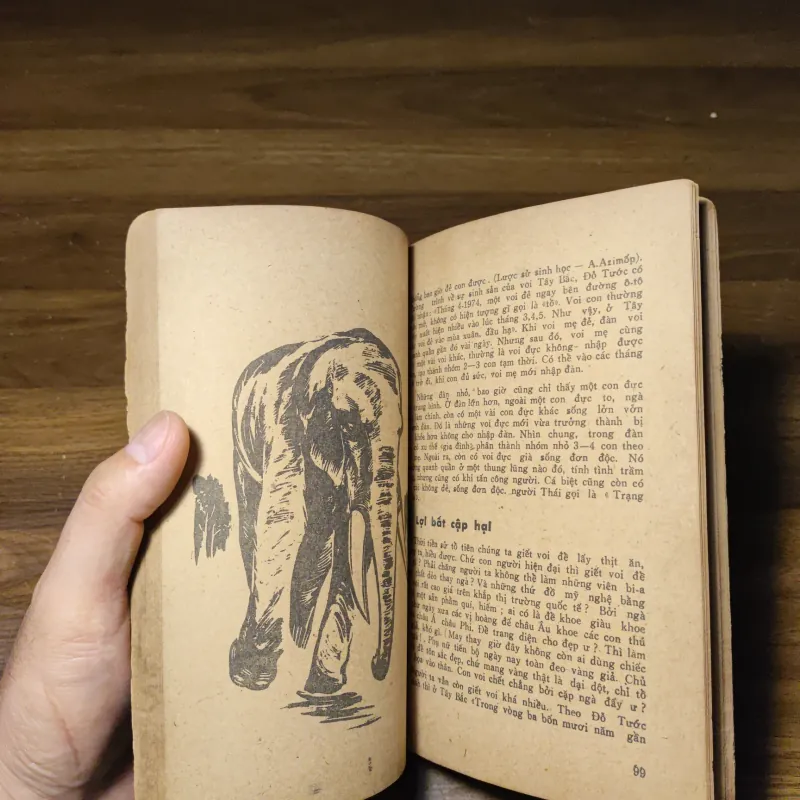 Các Con Vật Trên Rừng Dưới Biển - Đoàn Giỏi 1022201