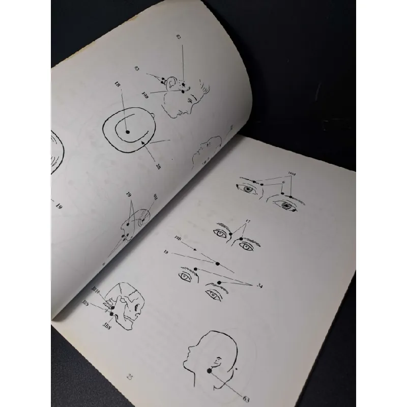 Bấm huyệt chữa bệnh và bảo vệ sức khỏe - Minh Anh - 2016 mới 80% - SỨC KHỎE - THỂ THAO - HCM0111 630218