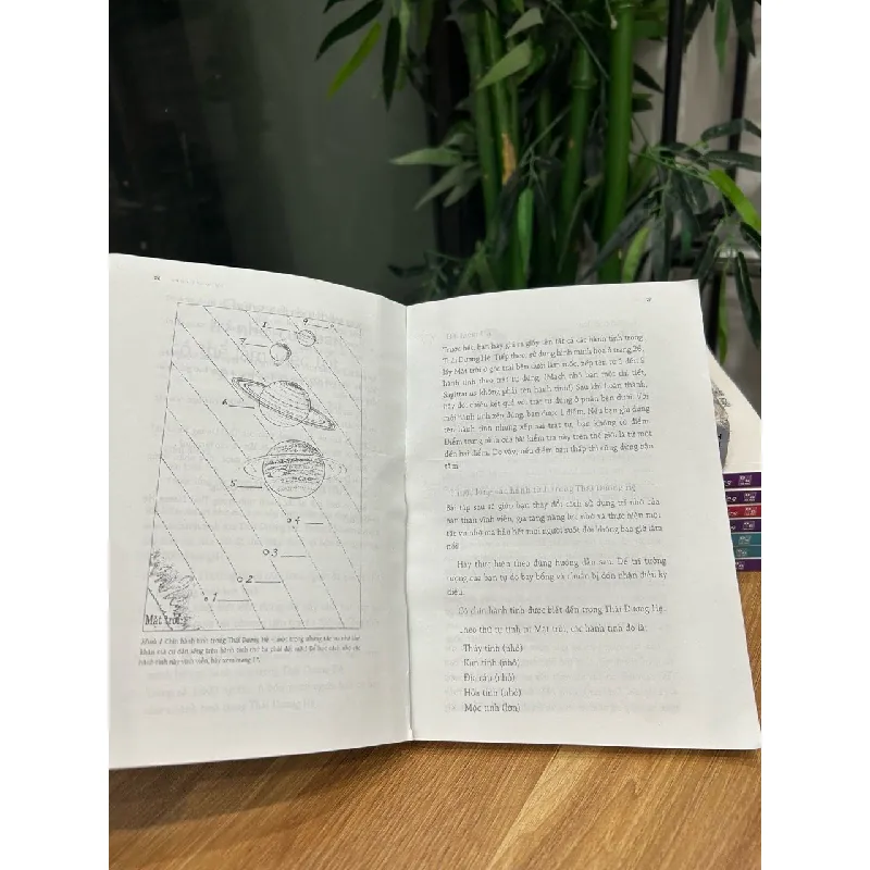 Làm chủ trí nhớ của bạn (Master Your Memory) – Tony Buzan 572498