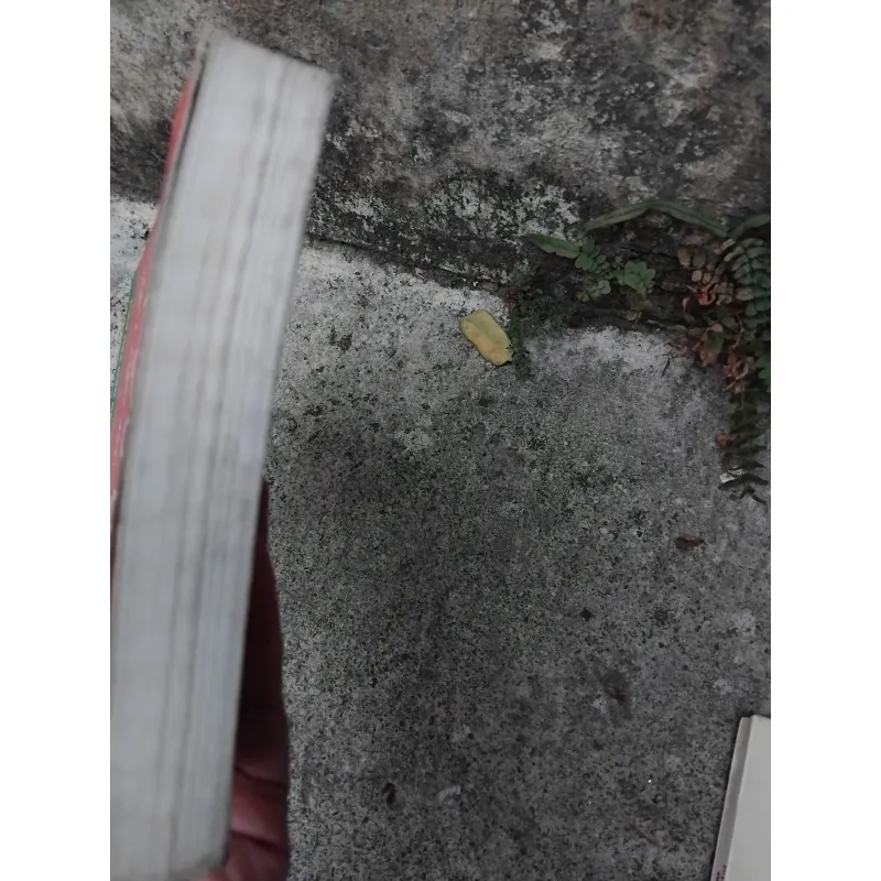 Kí sự địa chí Hà Nội của Giang Quân  1025182