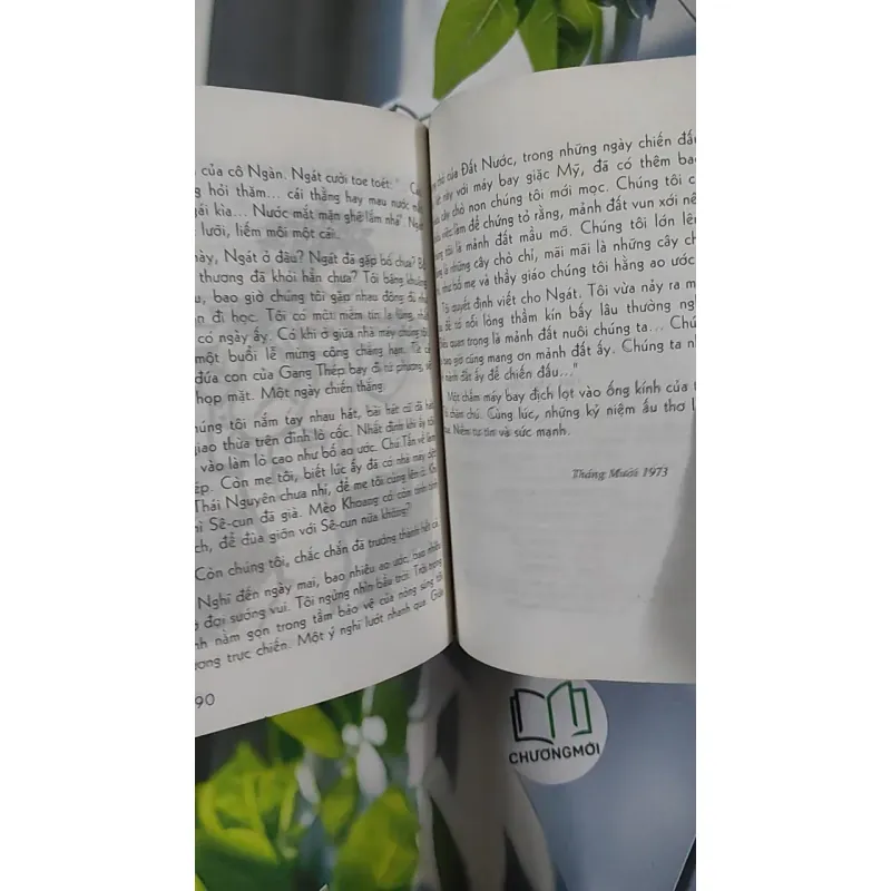 Hạt Chò Chỉ - Lê Minh 798479