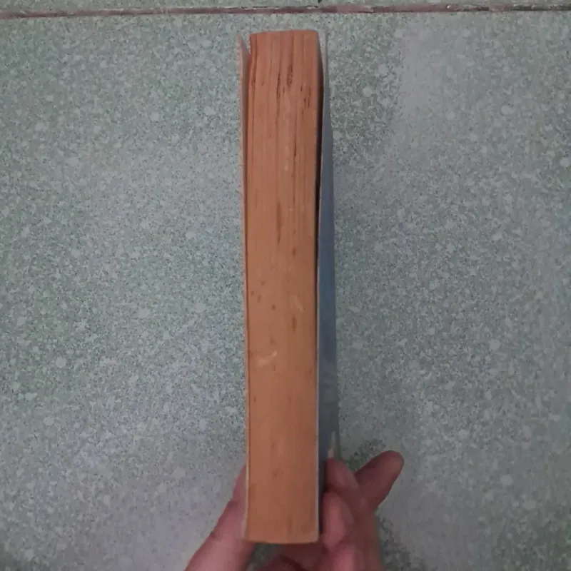 Aleph -panlo coelho 997431