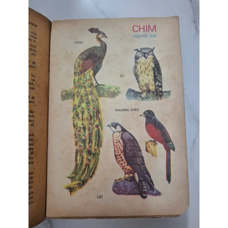 Từ điển học sinh - NXB Giáo dục 1972 - Từ điển học tập - tranh in màu 1006538