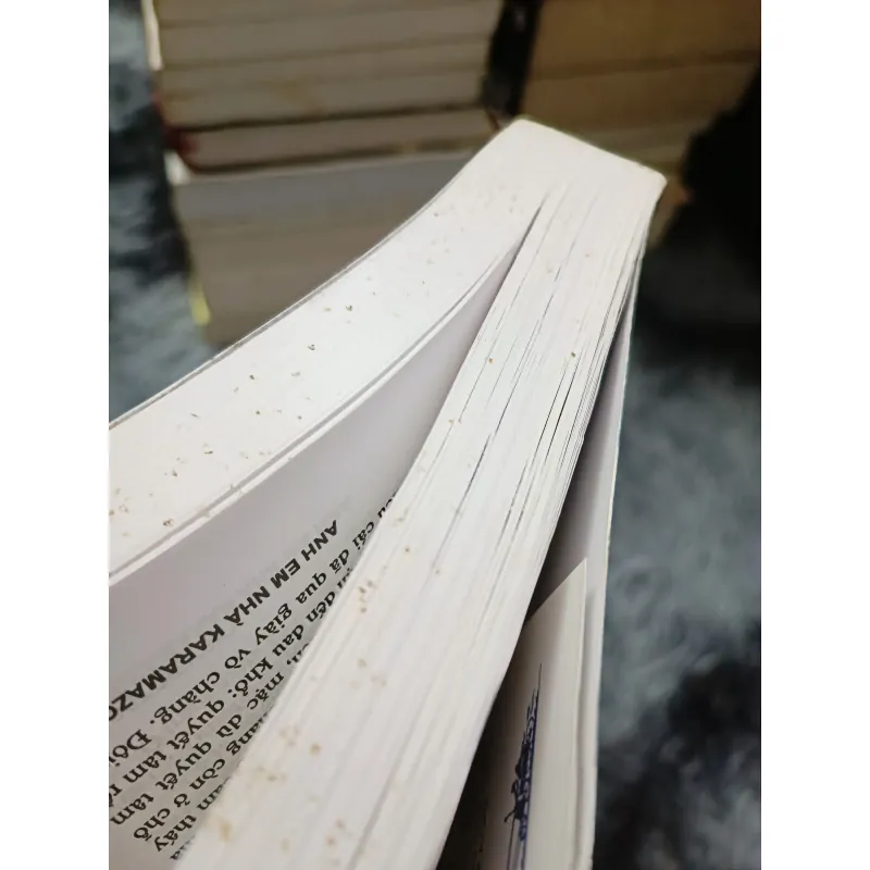 Anh em nhà Karamazov (Dostoievski) 758714