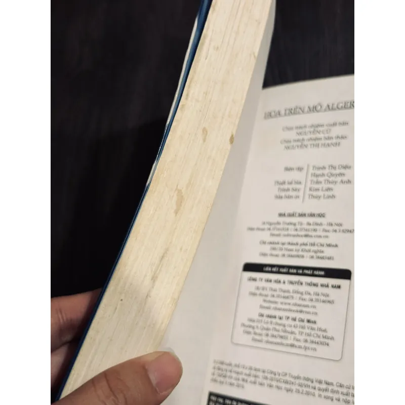 Hoa trên mộ Algernon 604514