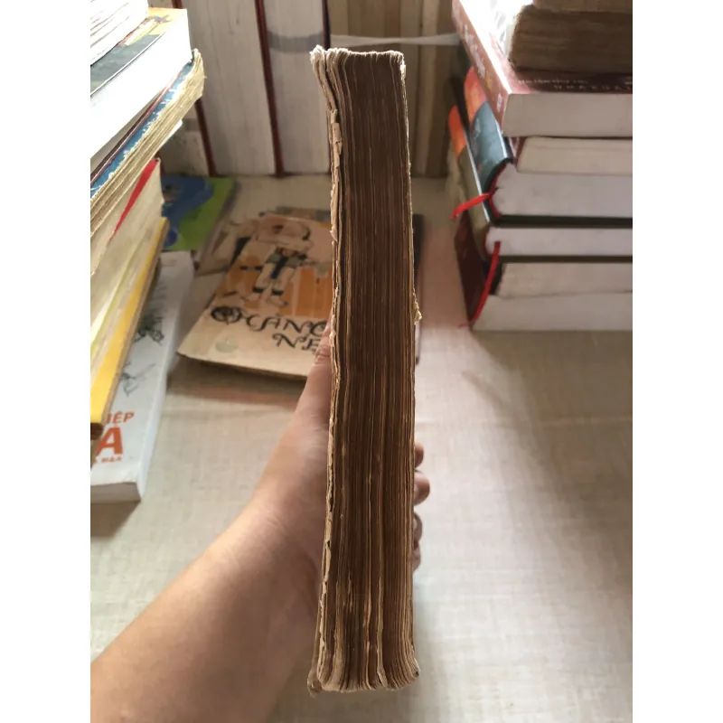 Lỗ Tấn tập truyện  993261