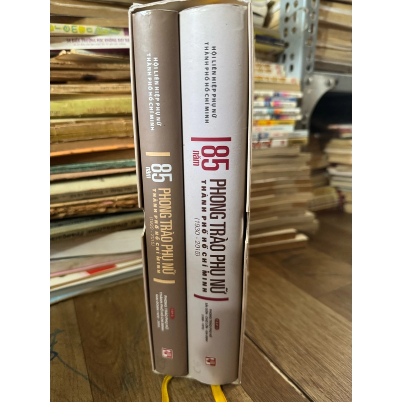 85 năm phong trào phụ nữ thành phố Hồ Chí Minh 526759