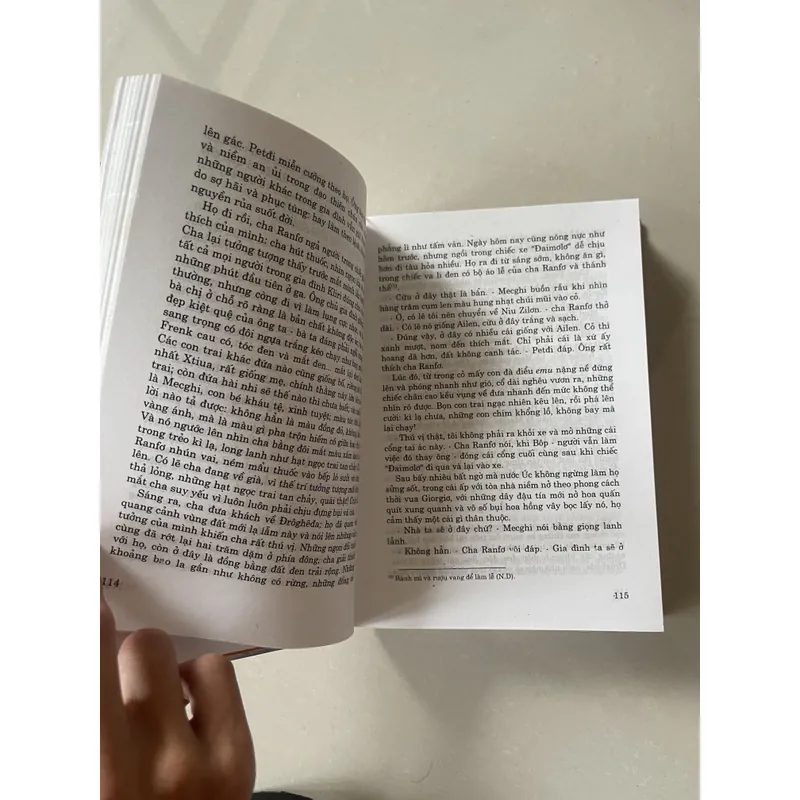 Tiếng Chim Hót Trong Bụi Mận Gai 697680