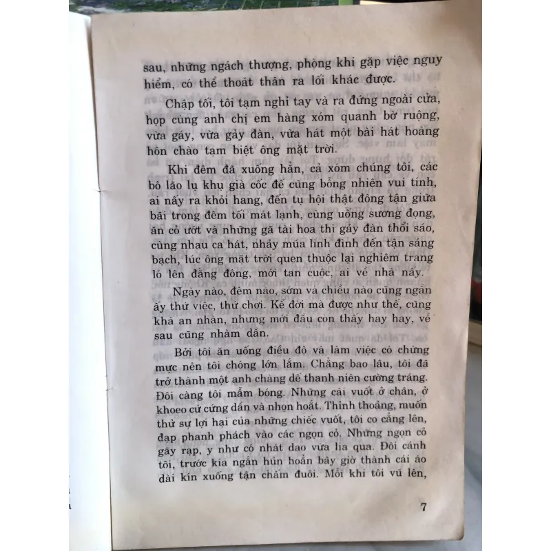 Dế mèn phiêu lưu ký - Tô Hoài 1025595