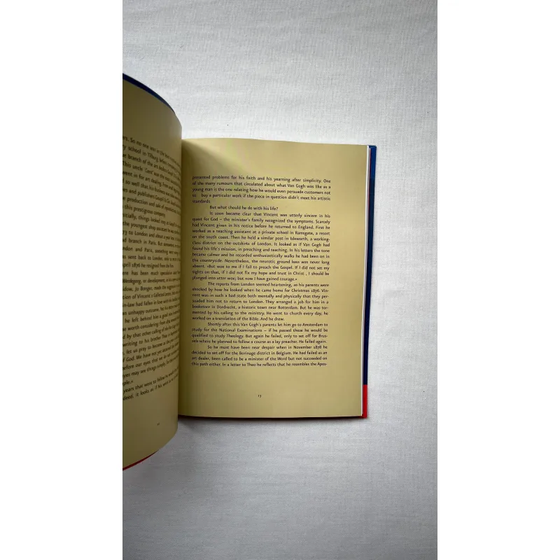 The Essential Van Gogh - Hans den Hartog Jager 1028889