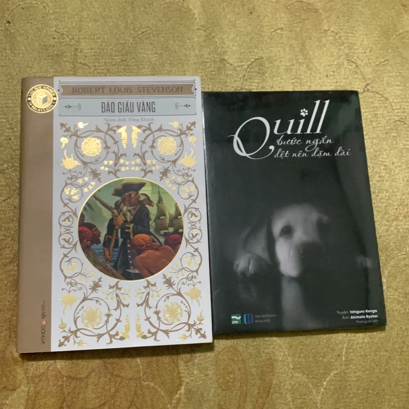 COMBO ĐẢO GẤU VÀNG & QUILL BƯỚC NGẮN DỆT NÊN DẶM DÀI 748565