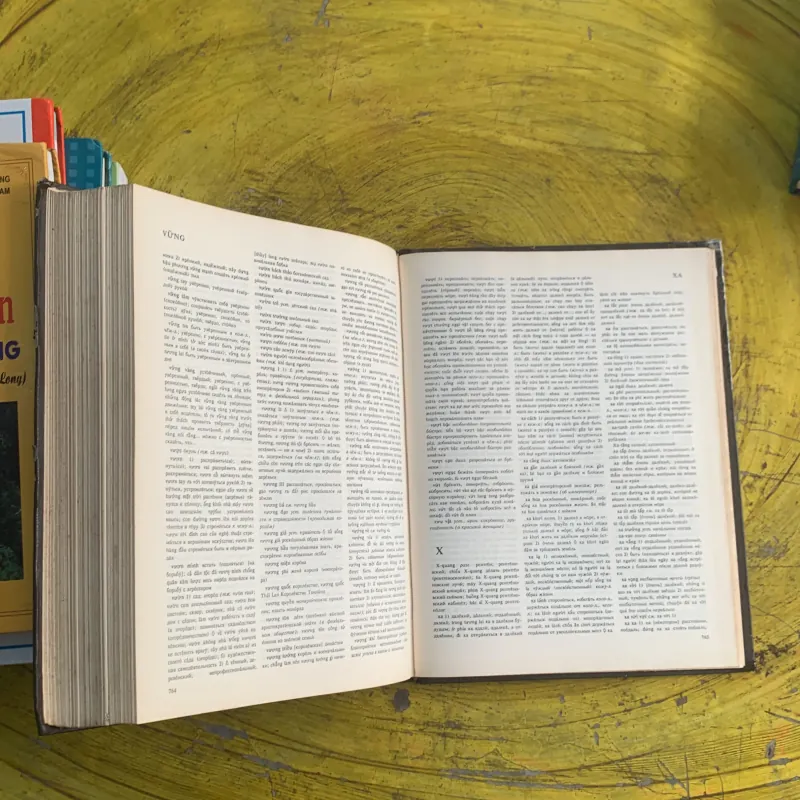 TỪ ĐIỂN VIỆT - NGA 1992 1009003