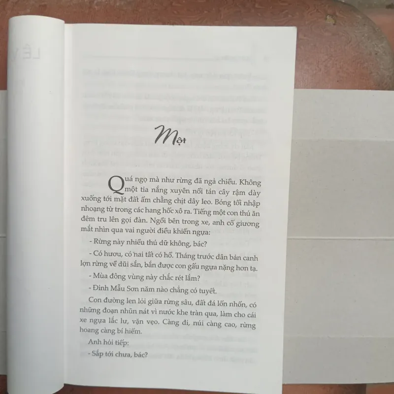 Cây bàng lá đỏ 996479