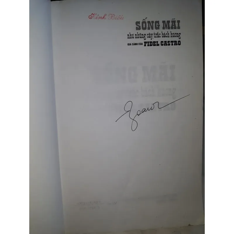 Sống mãi như những cây trắc bách hương - Gia cảnh của Fidel Castro 630585