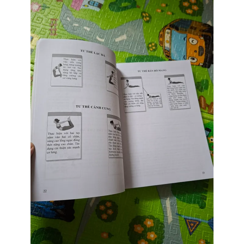 Giáo án giảng dạy Yoga trị liệu 785146