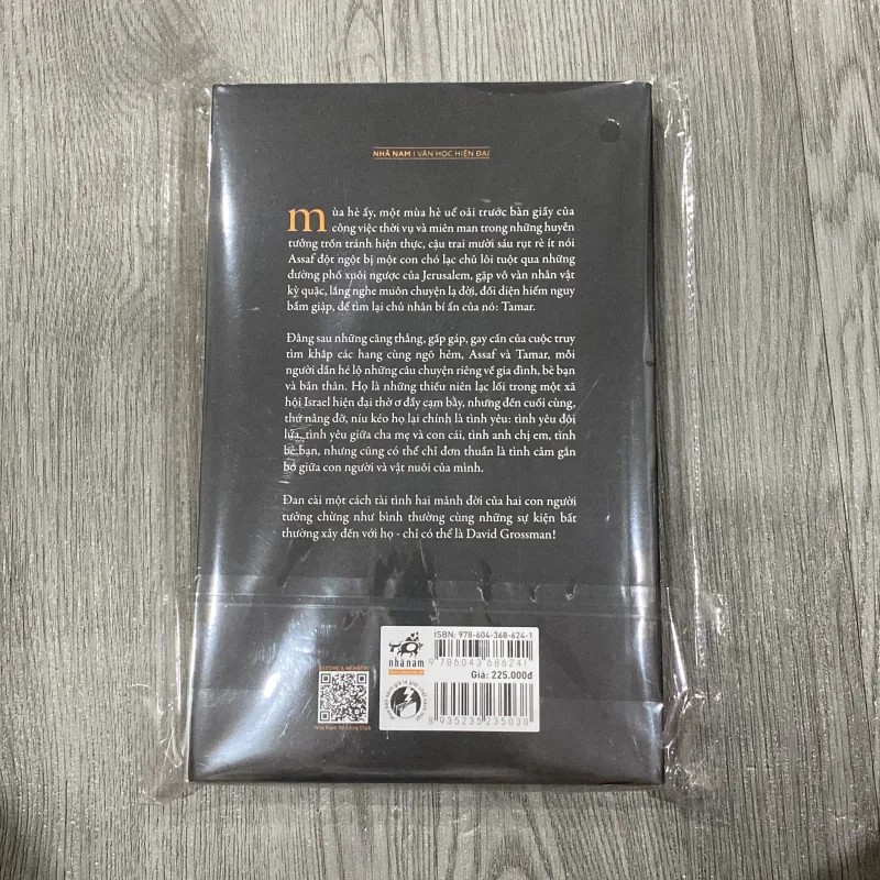 Ai đó chạy cùng ta - David Grossman 1044447