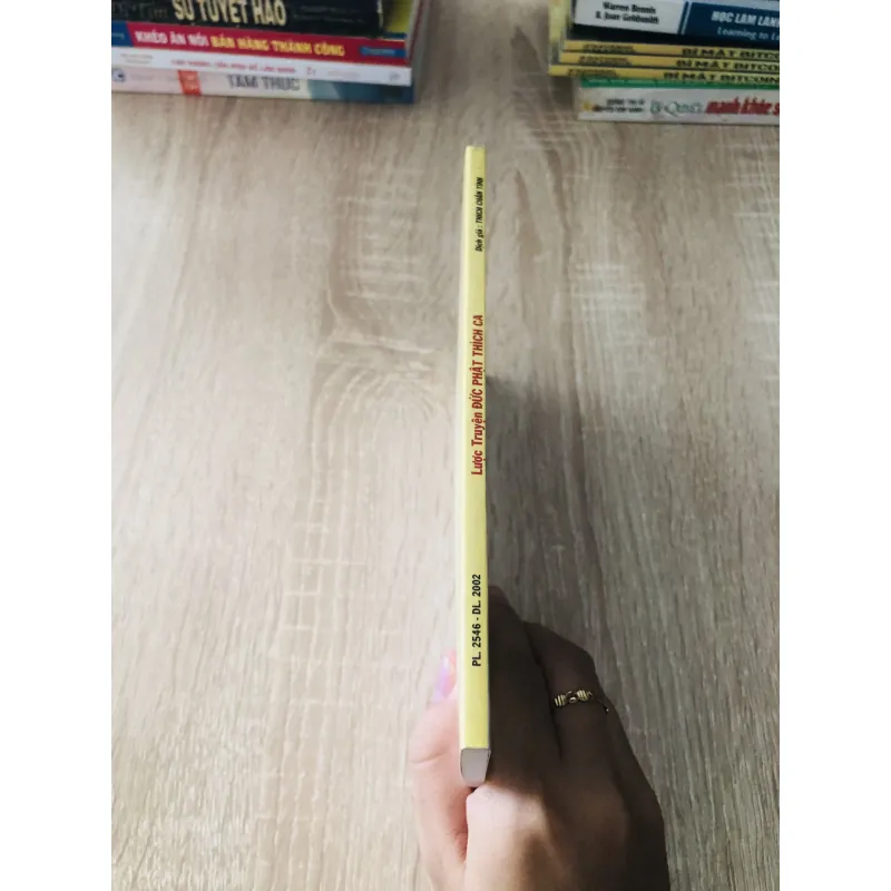 LƯỢC TRUYỆN ĐỨC PHẬT THÍCH CA 1022543