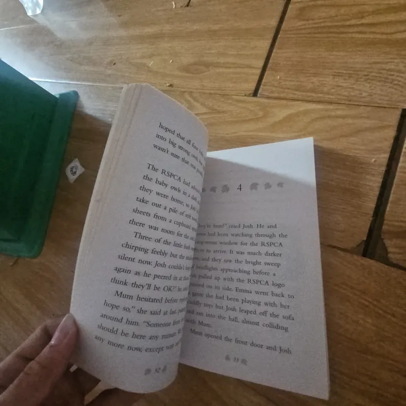 Little Owl Needs a Home Giá 20k  604027